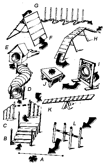 agility1.gif